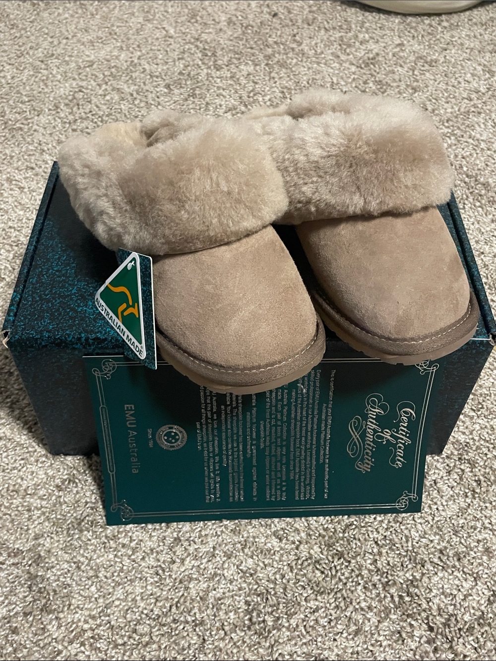 EMU Australia Suede Shearling Clog Slippers in Mushroom